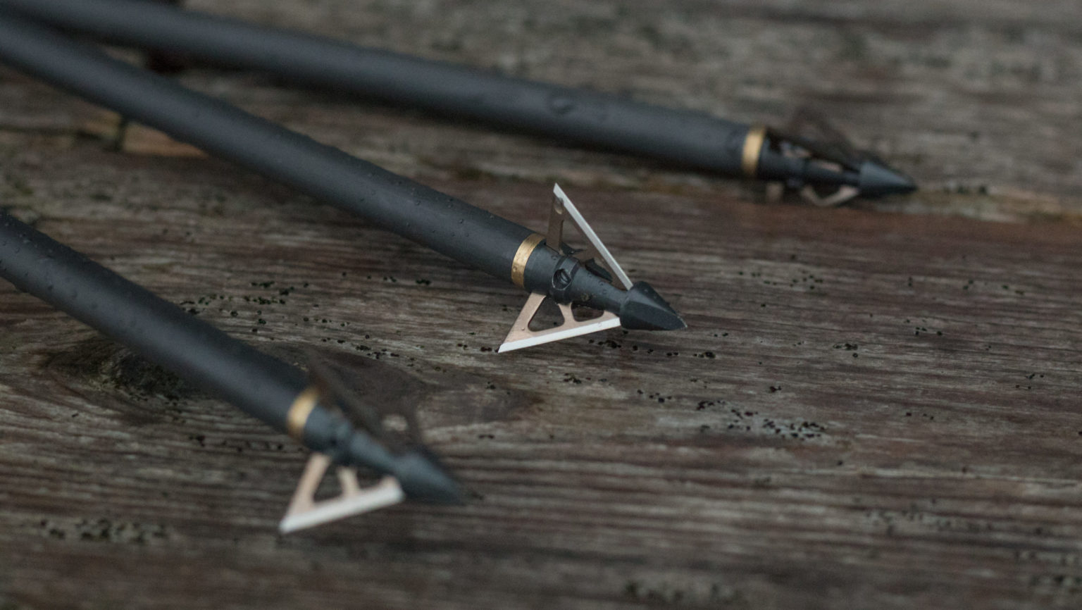 Choosing A Broadhead: Mechanical Vs. Fixed