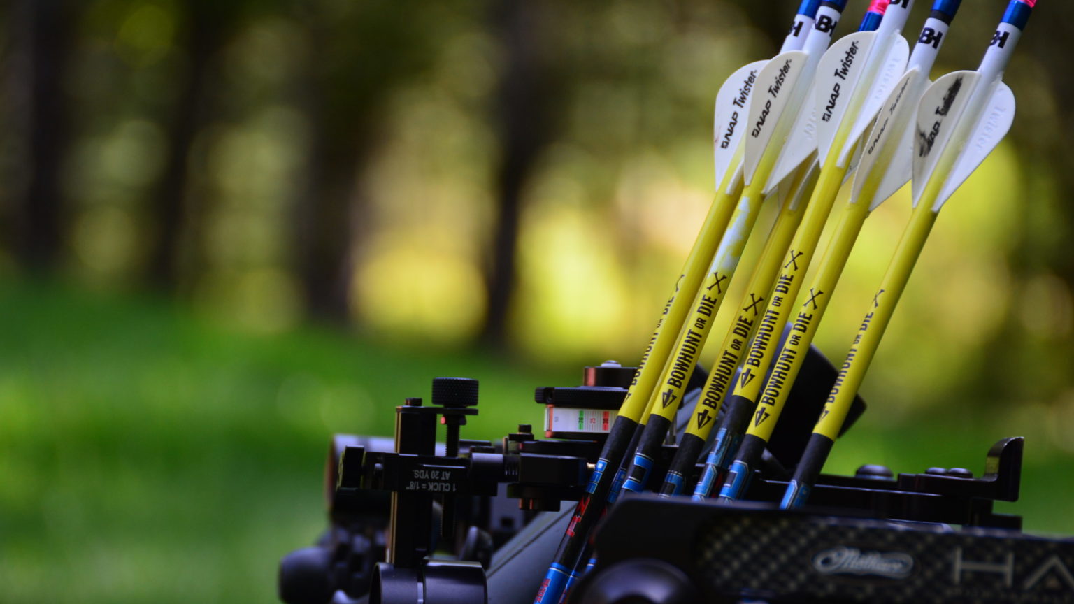 Getting Started The Bowhunting Basics