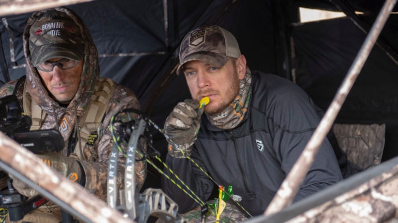 The Basics for Turkey Hunting with a Bow