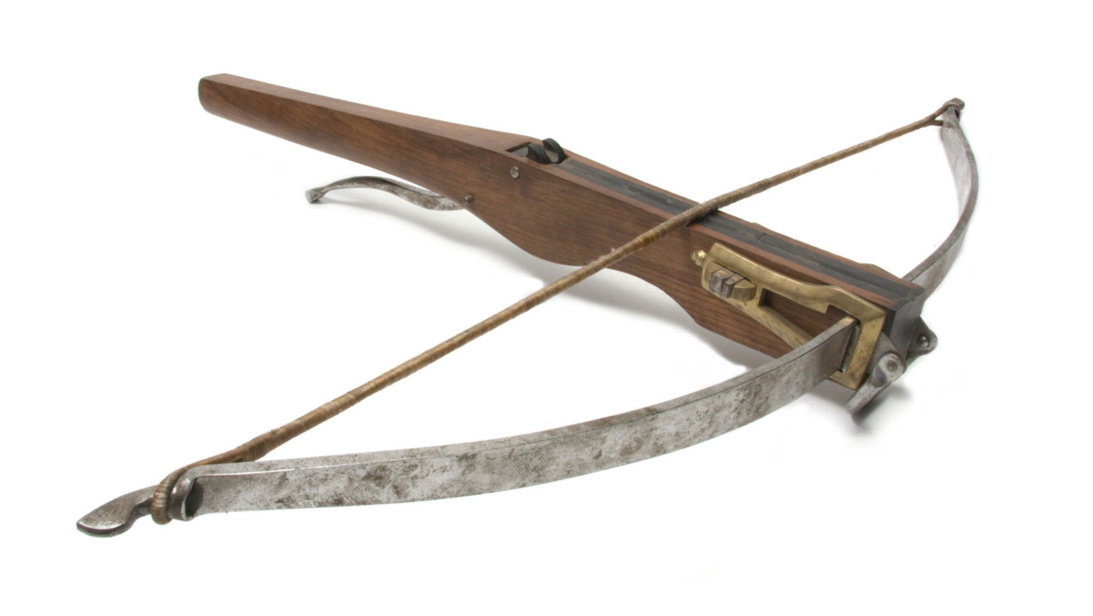 The Future Of Crossbow Hunting