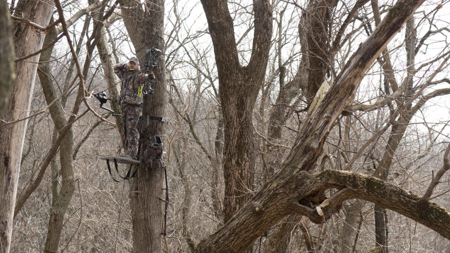 Hunting All Day In A Tree