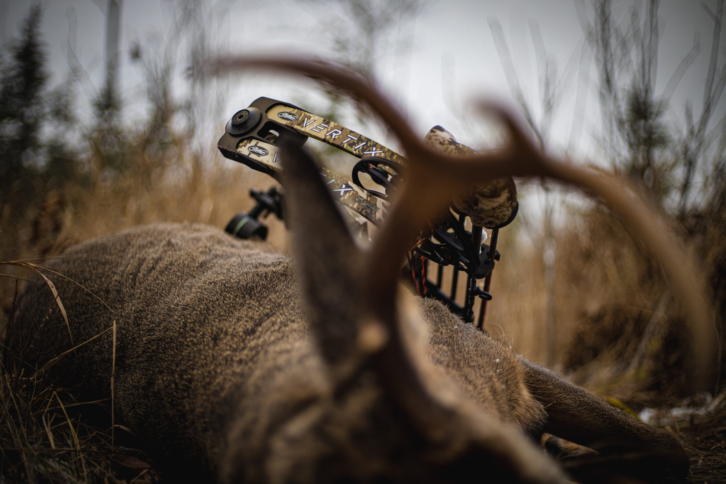 Deer Hunting Small Property Hunting For Deer