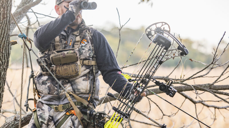 What Bow Accessories to Purchase Bow Sights Arrow Rests