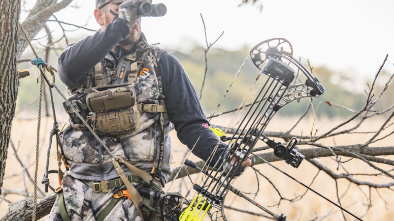 What Bow Accessories To Purchase?