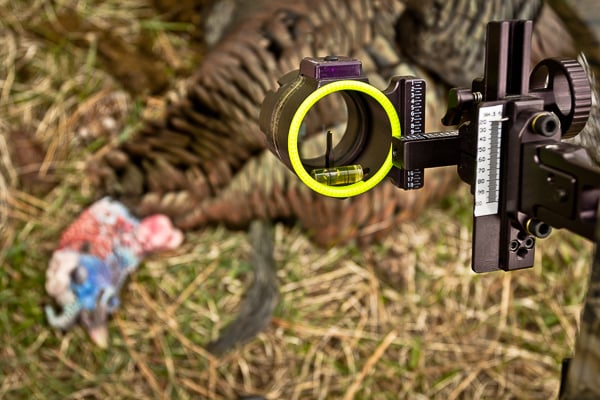 Aiming device on bow aiming at turkey