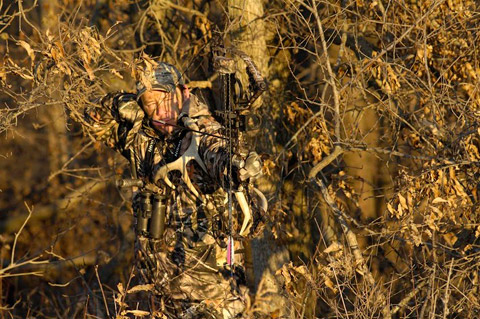 Hunter in tree aiming bow