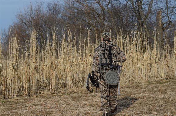 Hunter facing corn field