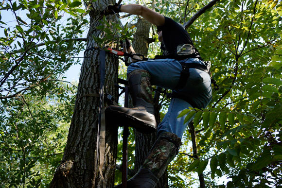 Hunter Climbing Tree