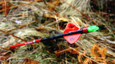 Red arrow  angled in ground