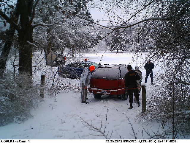 Trail camera catches trespassers Trail camera catches trespassers