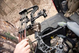 Anatomy Of A Compound Bow