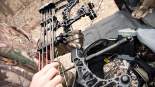Anatomy Of A Compound Bow
