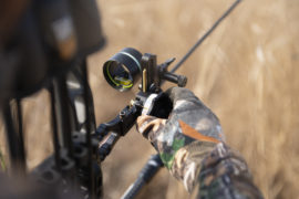 Selecting A Bow Sight