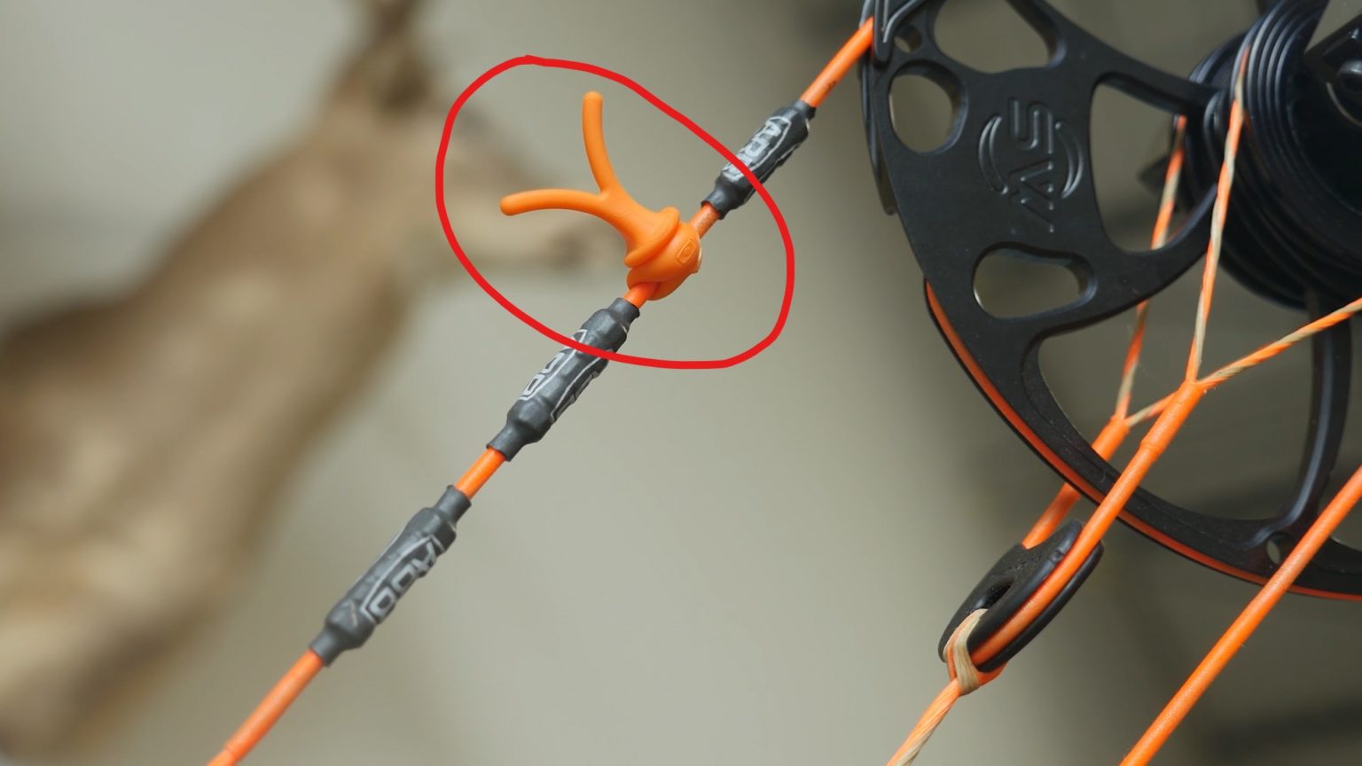 Anatomy Of A Compound Bow