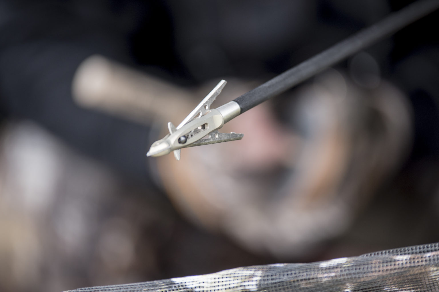 Best Broadheads For Whitetail Deer