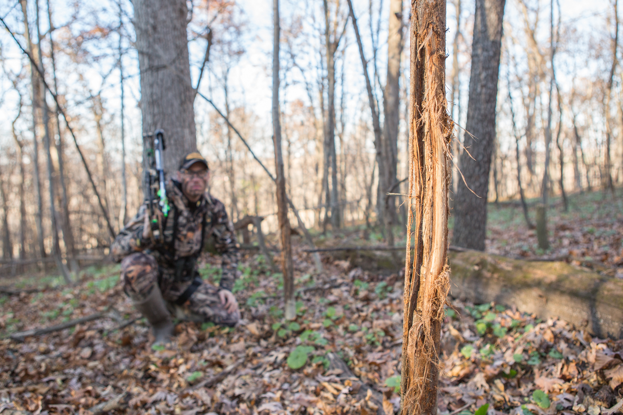 Spring Scouting For Whitetail Deer