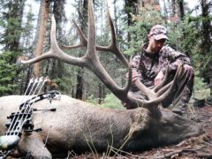 Hunter with Wyoming elk