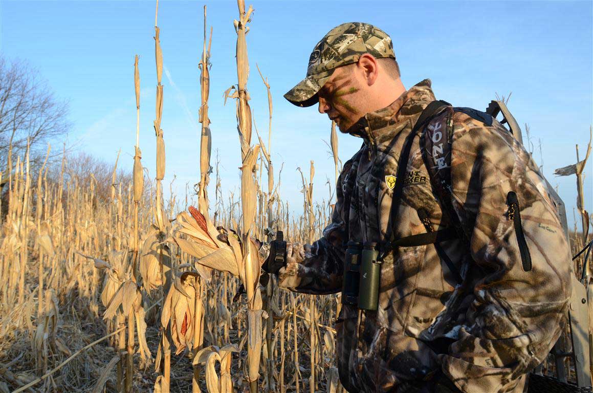 Hunter looking at standing corn field