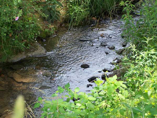 Water source Water source