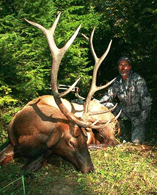 Bowhunting trophy elk