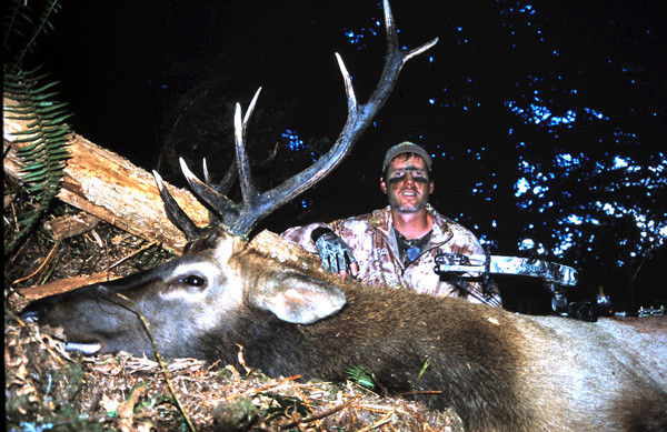 Pat's Elk Pat Meitin Roosevelt elk
