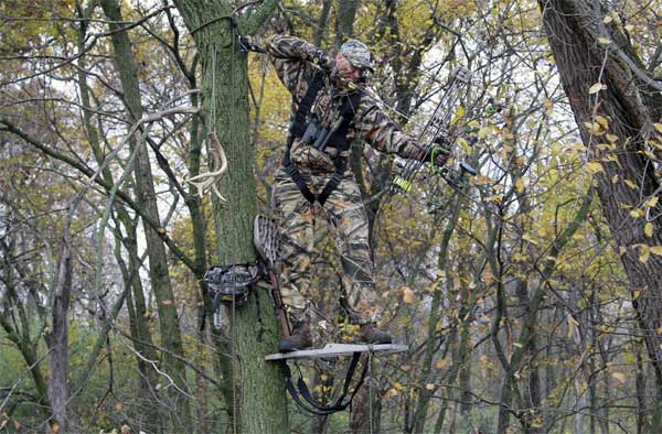 Hunter at full draw in treestand