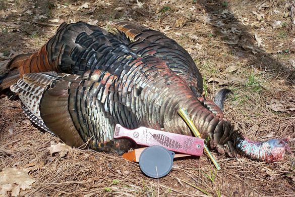 A Dead Turkey