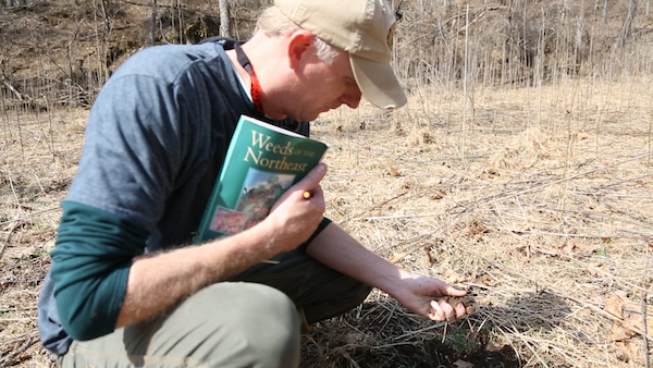 Studying Soil Quality