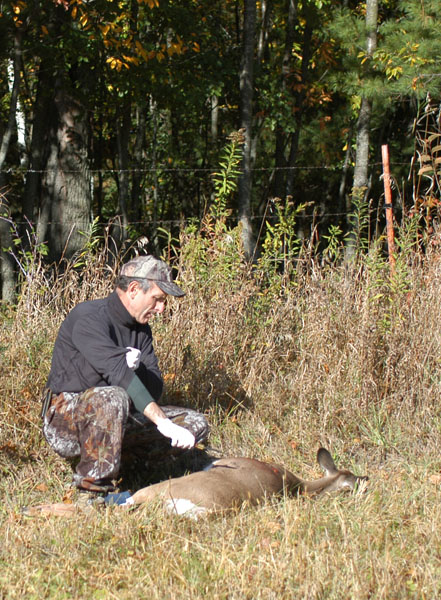 Hunter and deer Hunter and deer