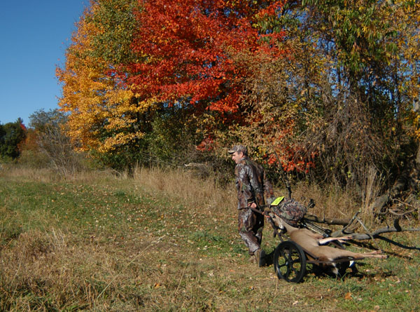 Hunter and deer Hunter and deer