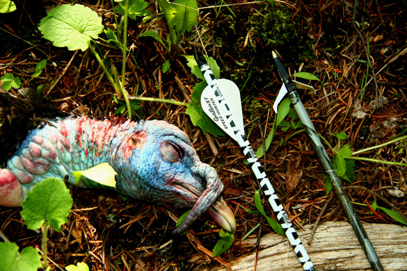 Turkey and Arrows Turkey and Arrows
