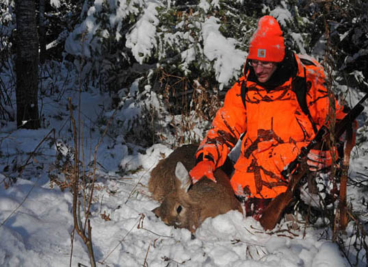 Sick Deer Sick Deer