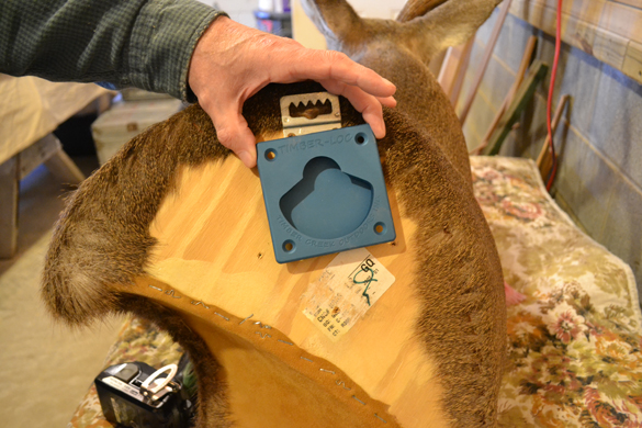 The Timber Lok Mounting Plate