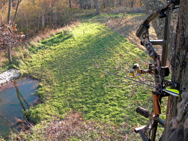 A waterhole in a clearing A waterhole in a clearing