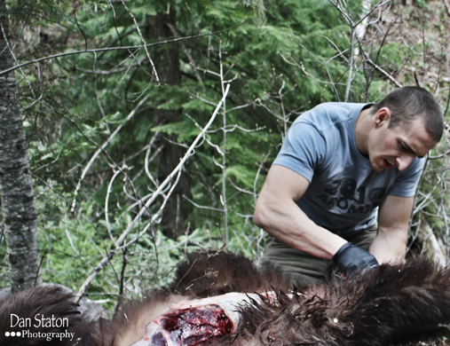 Cutting Bear Cutting Bear
