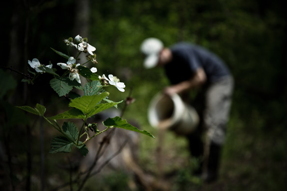 Man Pouring Seed Man Pouring Seed