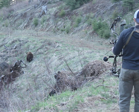 Hunter sees Bear Hunter sees Bear