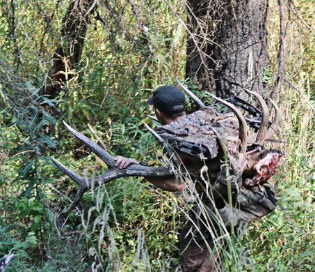 A Hunter With Antlers A Hunter With Antlers