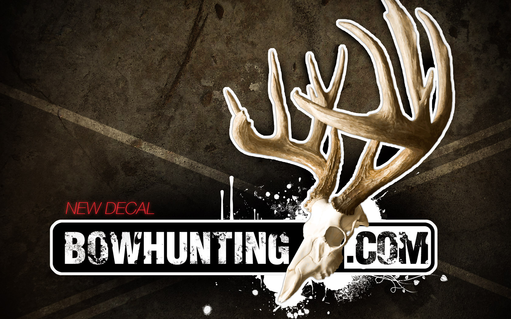 Bowhunting Background Images