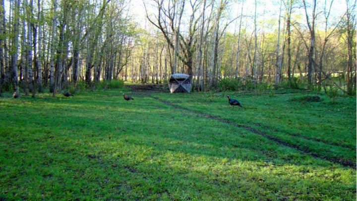 Ground of battle from the Tom's point of view.