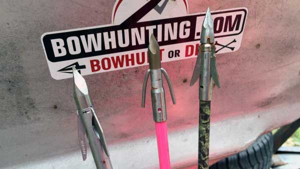 bowfishing-points
