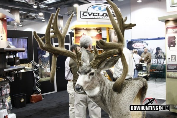 World Record Mule Deer