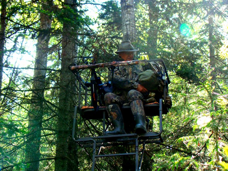 Sitting in an open, elevated stand can be less productive because of visible hunter movement as well as greater noise and scent disbursement.
