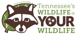 TNwildlifeYourWildlifeLogo