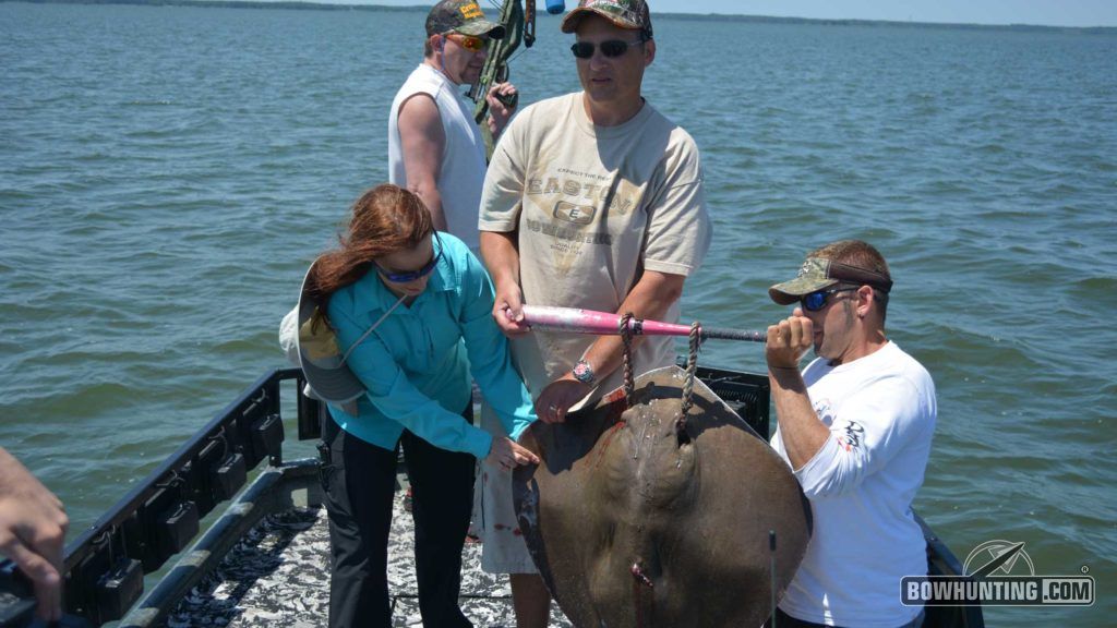 The author's first stingray from the East Shores of Maryland.