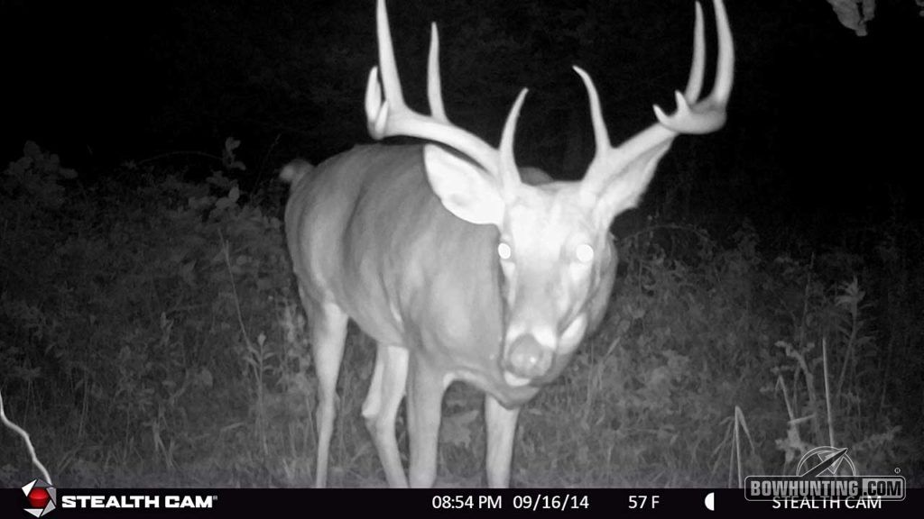 A multitude of trail camera photos of this Illinois monarch were captured just several hundred yards from where Miller ultimately harvested the animal.