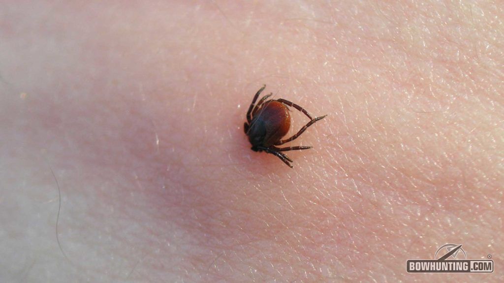 Ticks are tiny little blood suckers, but the impact they can have on the physical health of you or your family can be huge. 