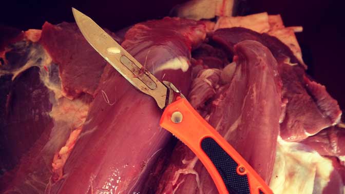 A revolution in hunting knives has hit the industry in recent years helping hunters make short work of the in-field butchering process. 