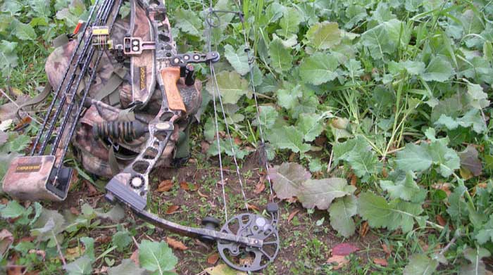 If a deer carrying CWD urinates, defecates or drools on crops, the plants aren’t easily washed clean of the contaminants.
