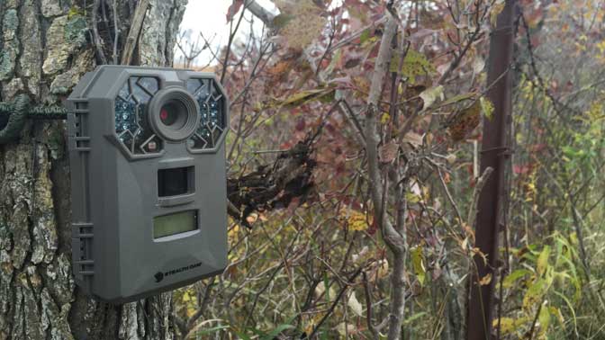 Let your trail cameras do the work for you. Put the cameras in place and keep out until it's time to make the kill. 